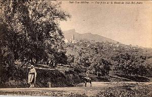 Tlemcen Environs 002